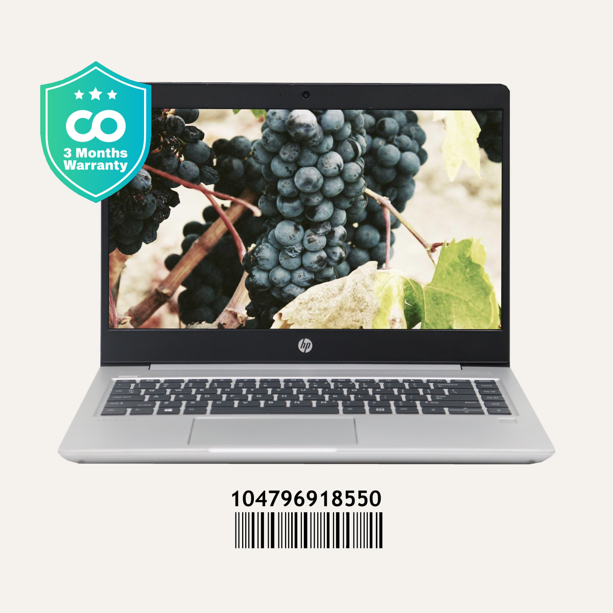 Hp Probook 445 G6 SN:18550