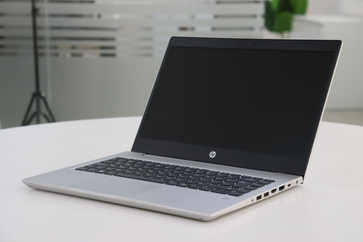HP ProBook 445 G7 - angle view