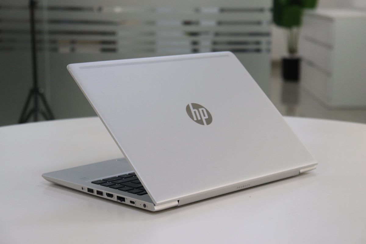HP ProBook 445 G7 - back view