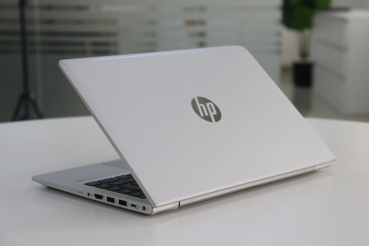 PROBOOK 445 G10 220035000190 image_6