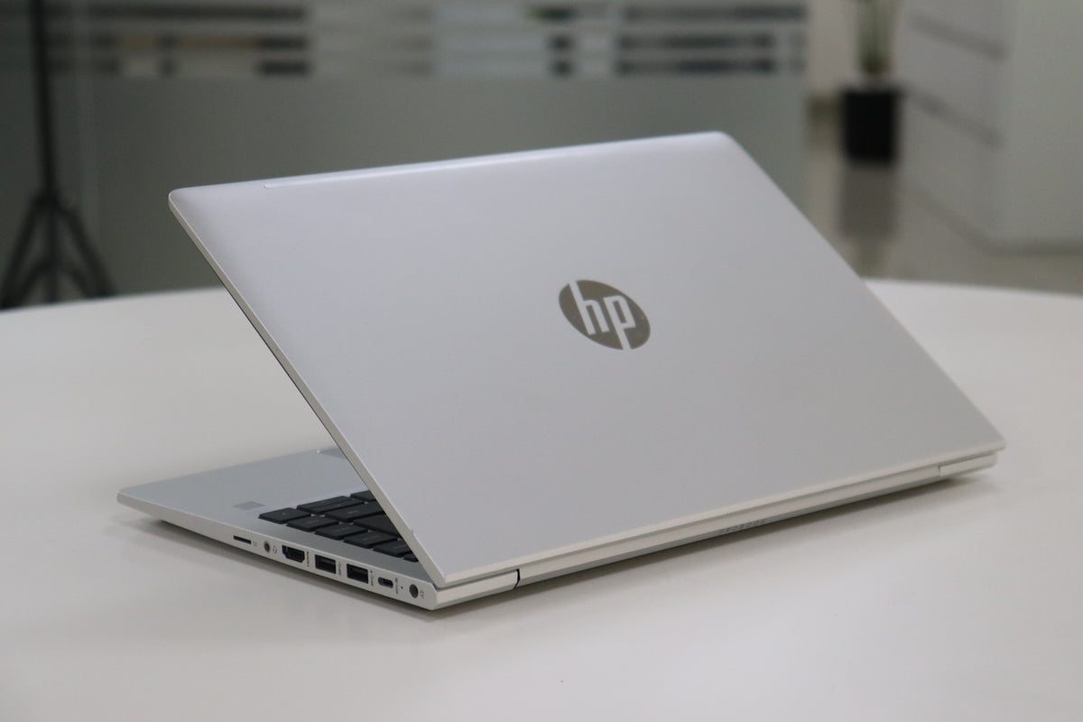 HP ProBook 445 G8 - screen view