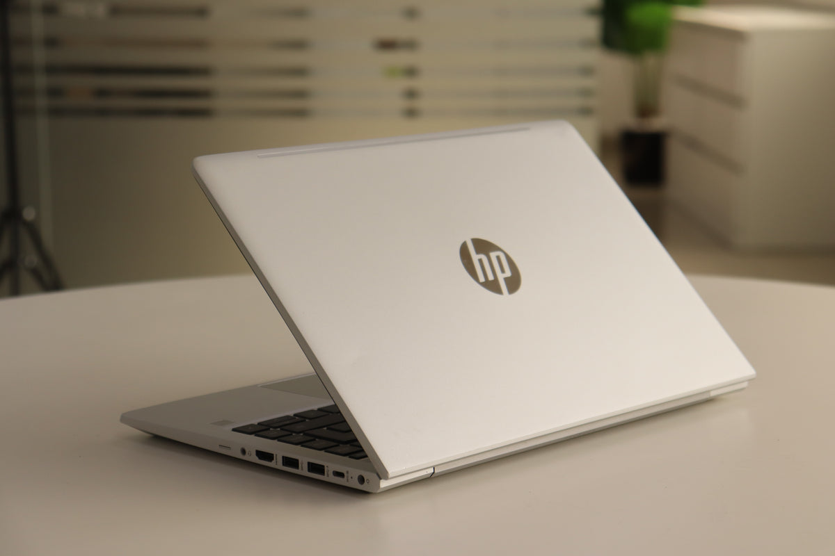 HP ProBook 445 G10 - screen view
