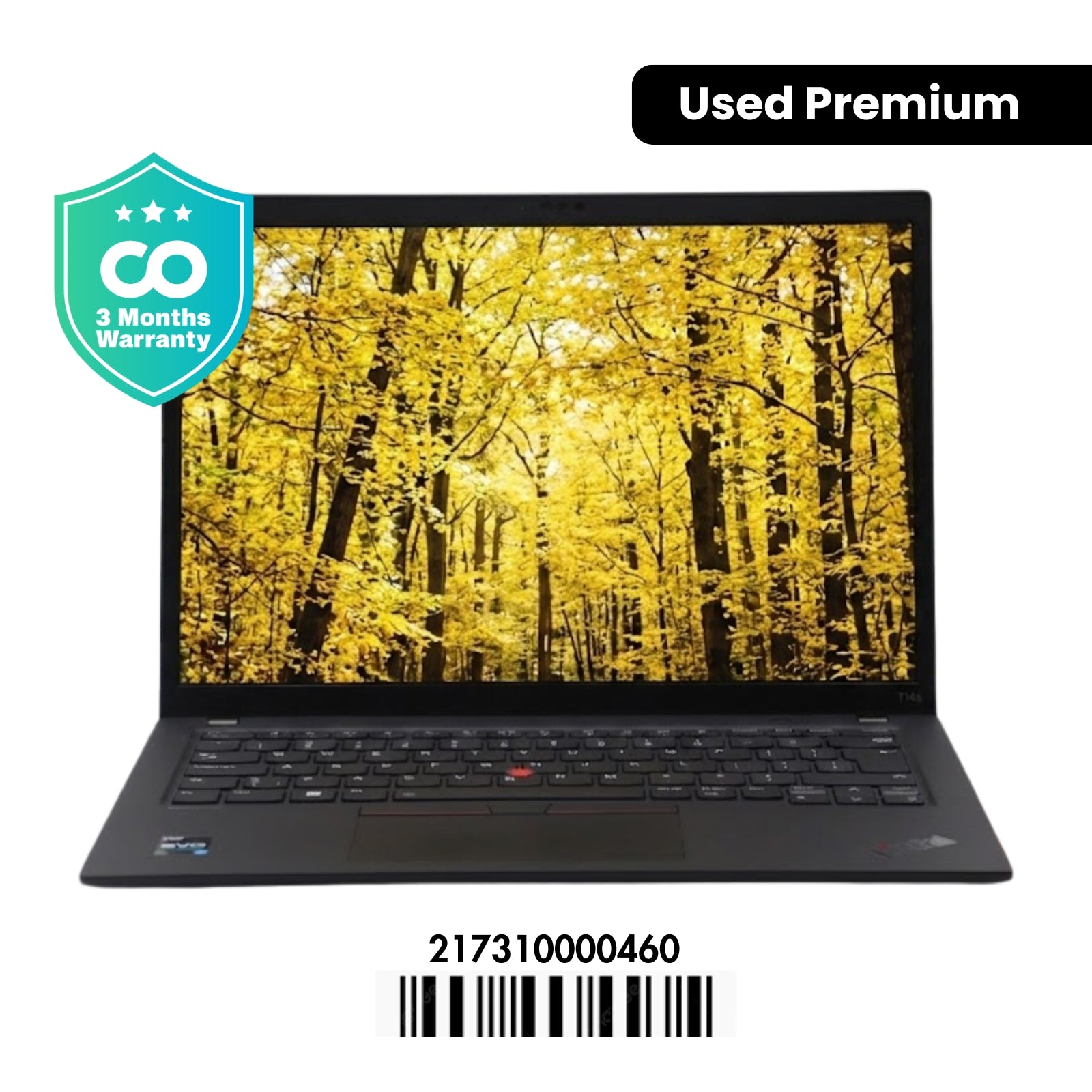LENOVO THINKPAD T14S GEN 4: 13th Gen i5, 16GB RAM, 256GB SSD, SN:00460