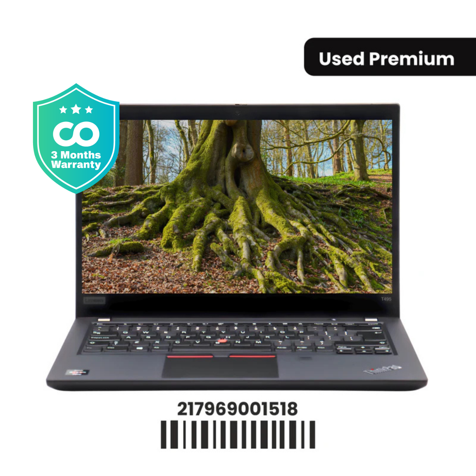 LENOVO THINKPAD T495: AMD, 8GB RAM, 256GB SSD, SN:001518