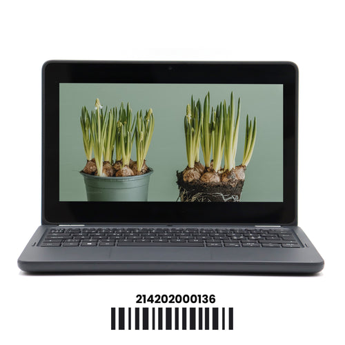 Dell Latitude 3120: Pentium, 8GB RAM, 128GB SSD
