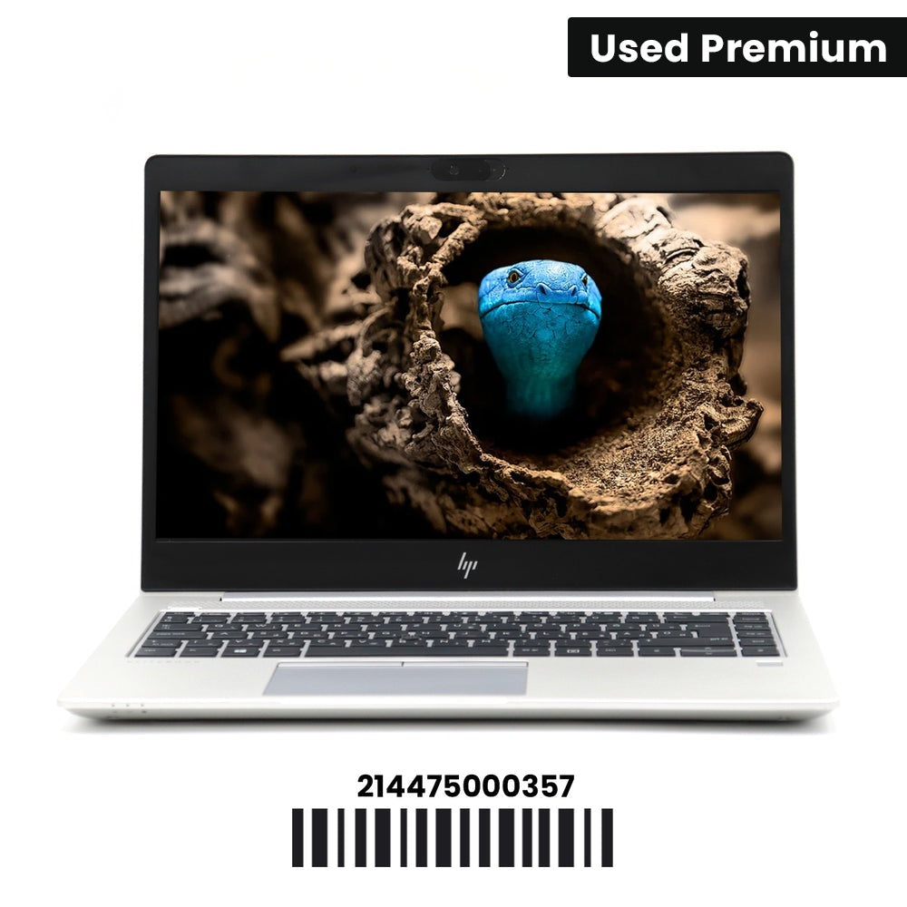 HP EliteBook 745 G6: AMD Ryzen 5, 8GB RAM, 256GB SSD, SN:00357