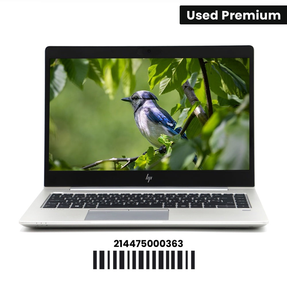 HP EliteBook 745 G6: AMD Ryzen 5, 8GB RAM, 256GB SSD, SN:00363