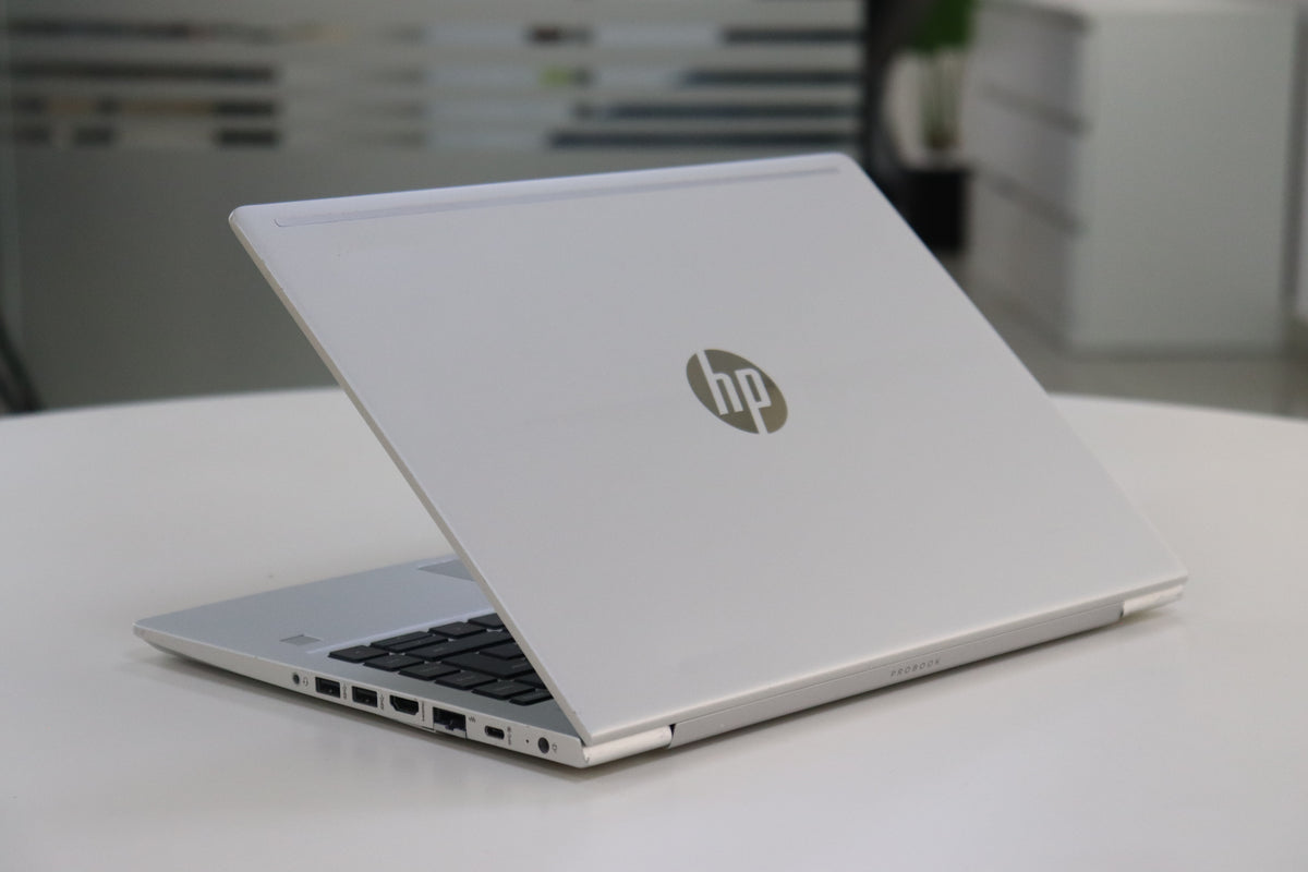 HP ProBook 445 G7 - screen view
