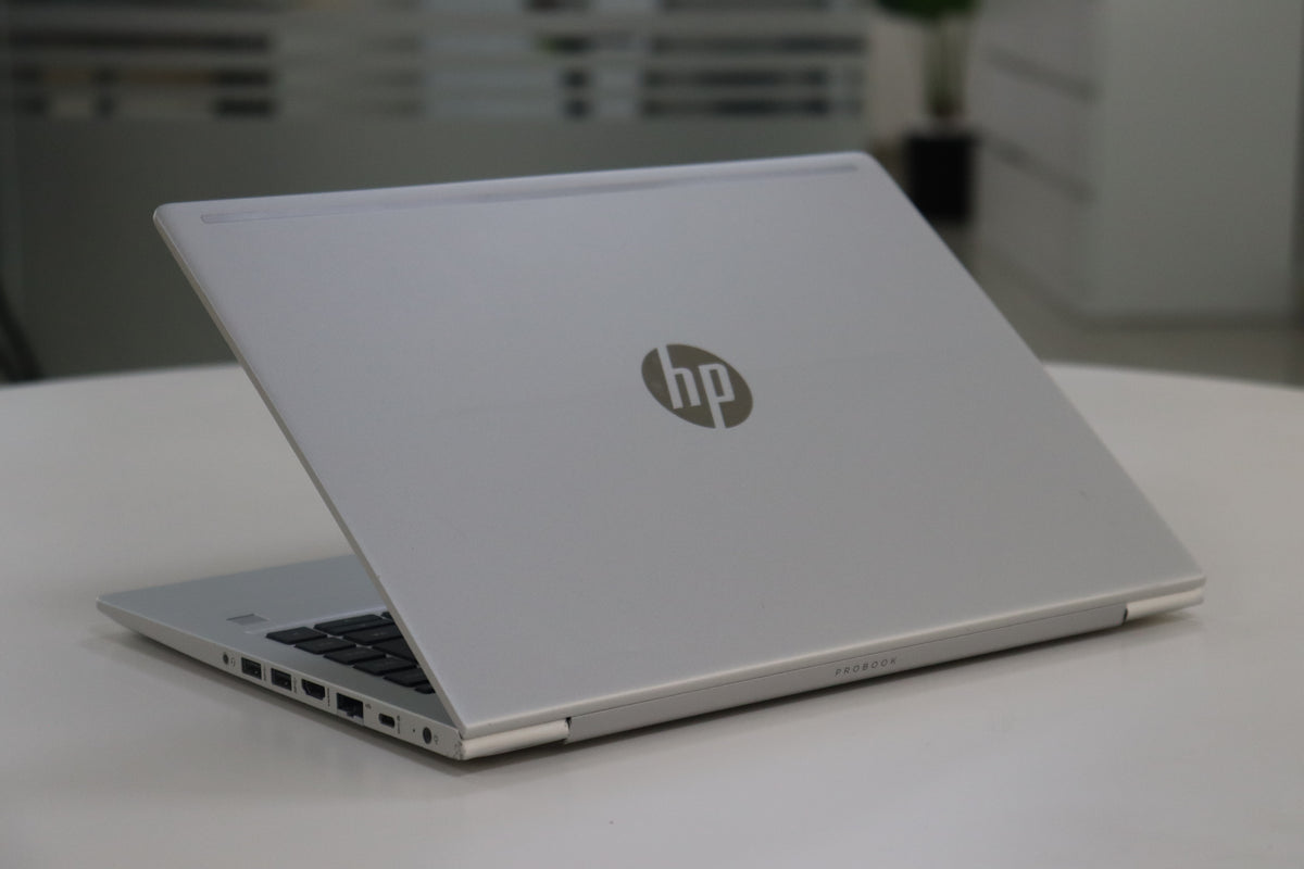 HP ProBook 445 G7 - screen view