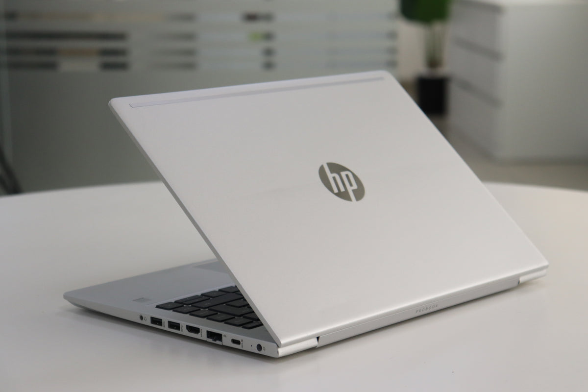 HP ProBook 445 G7 - screen view