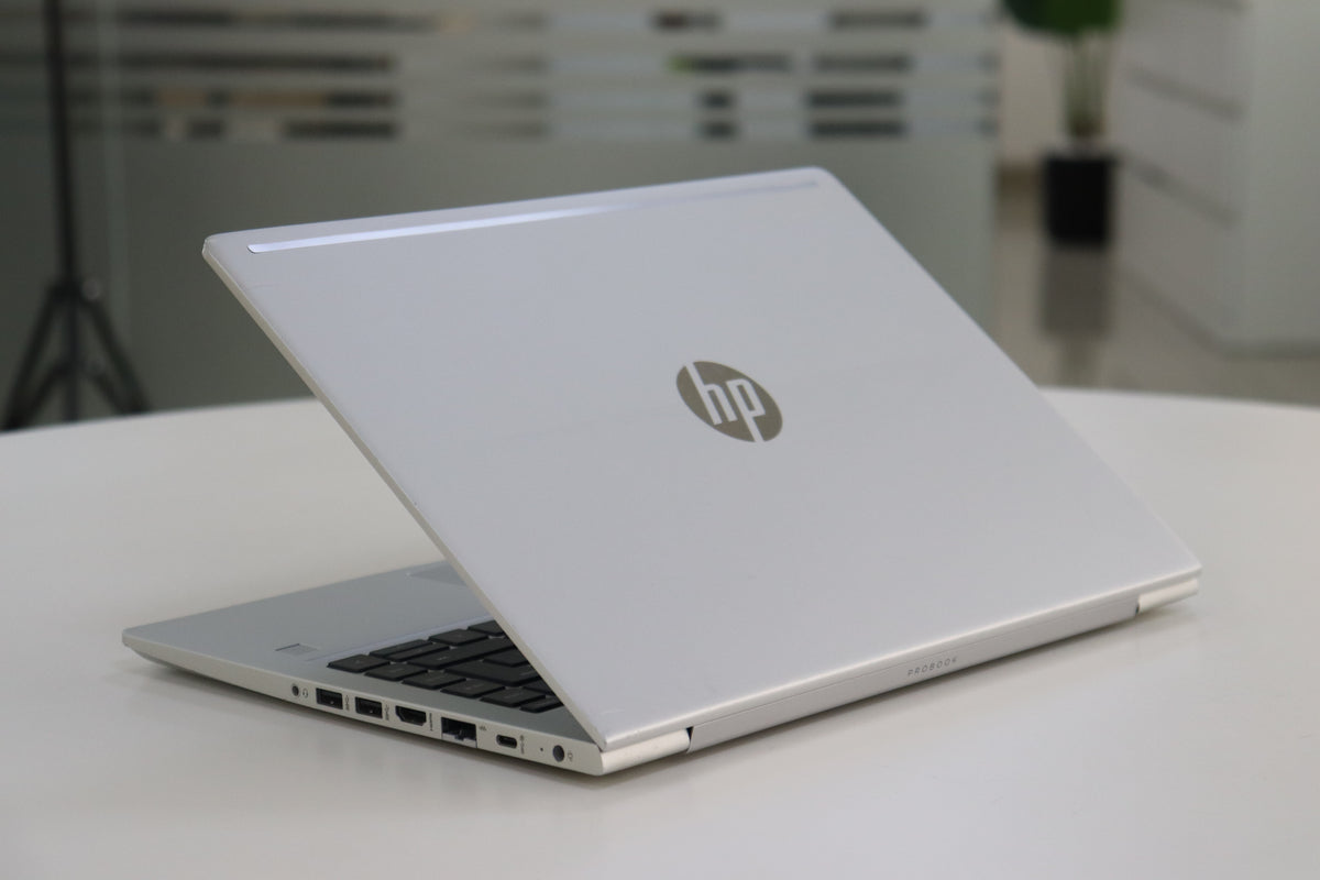 HP ProBook 445 G7 - screen view
