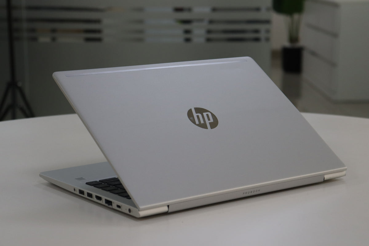 HP ProBook 445 G7 - screen view