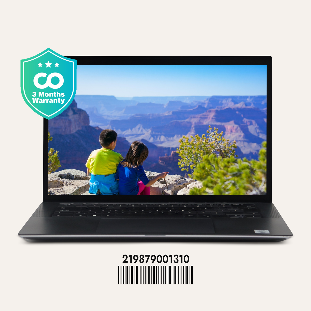 DELL PRECISION 5550 SN: 01310 front view