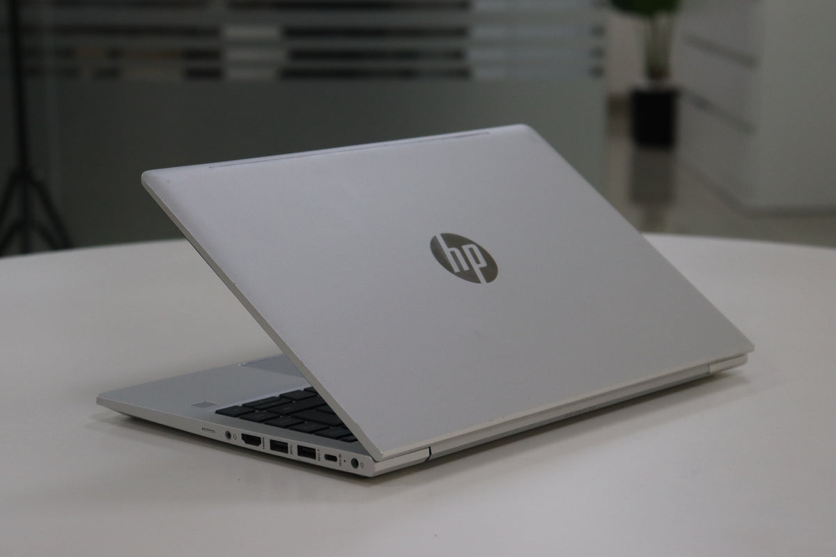 HP ProBook 445 G10 - screen view