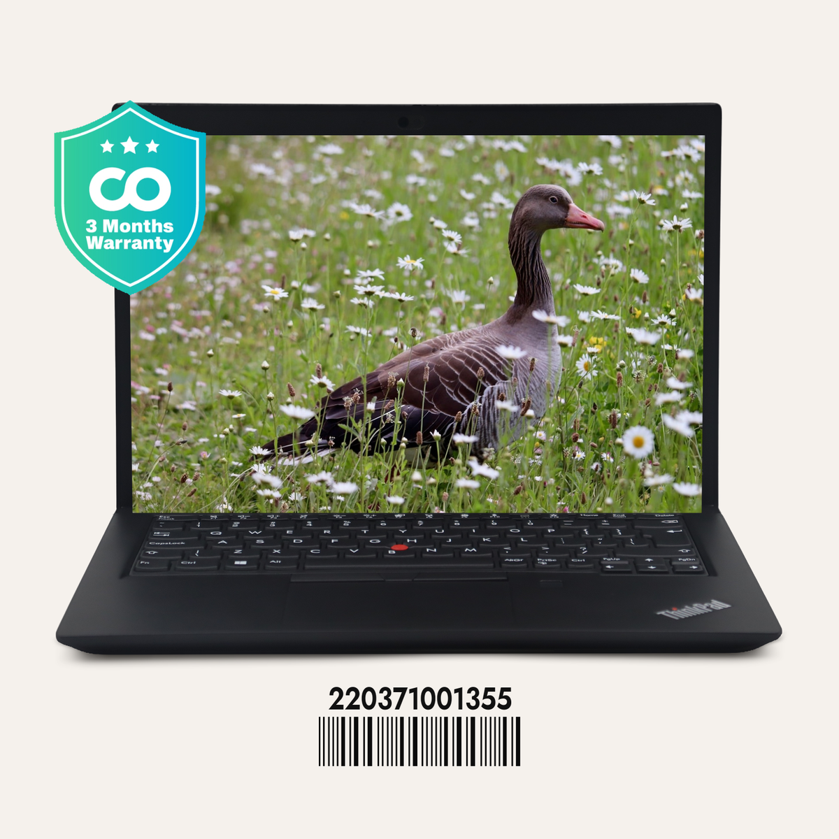 LENOVO THINKPAD X395 SN: 01355 front view
