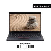 LENOVO THINKPAD T495: AMD, 16GB RAM, 256GB SSD, SN:001911