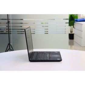 LENOVO THINKPAD T495: AMD, 16GB RAM, 256GB SSD, SN:001911