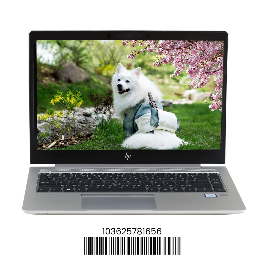 Elitebook 840 G6: Intel Core i5, 8th Gen, 8GB RAM, 256GB SSD